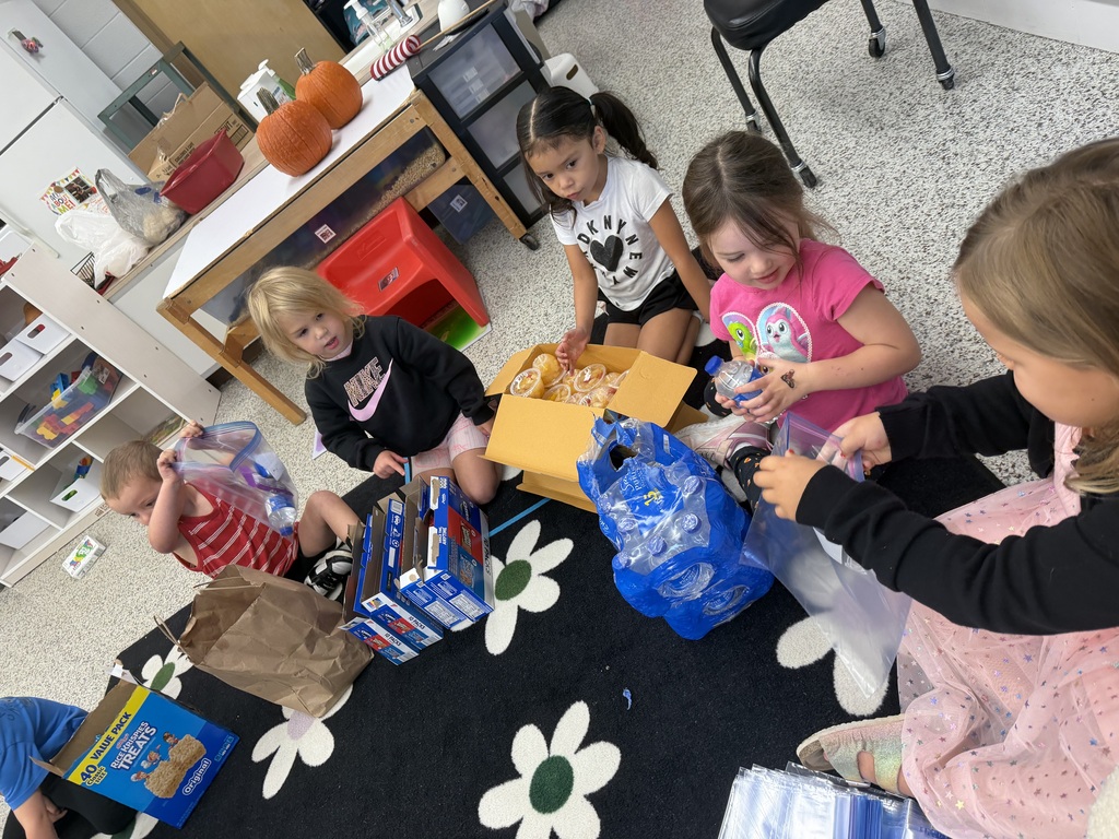 preschool farmer bags