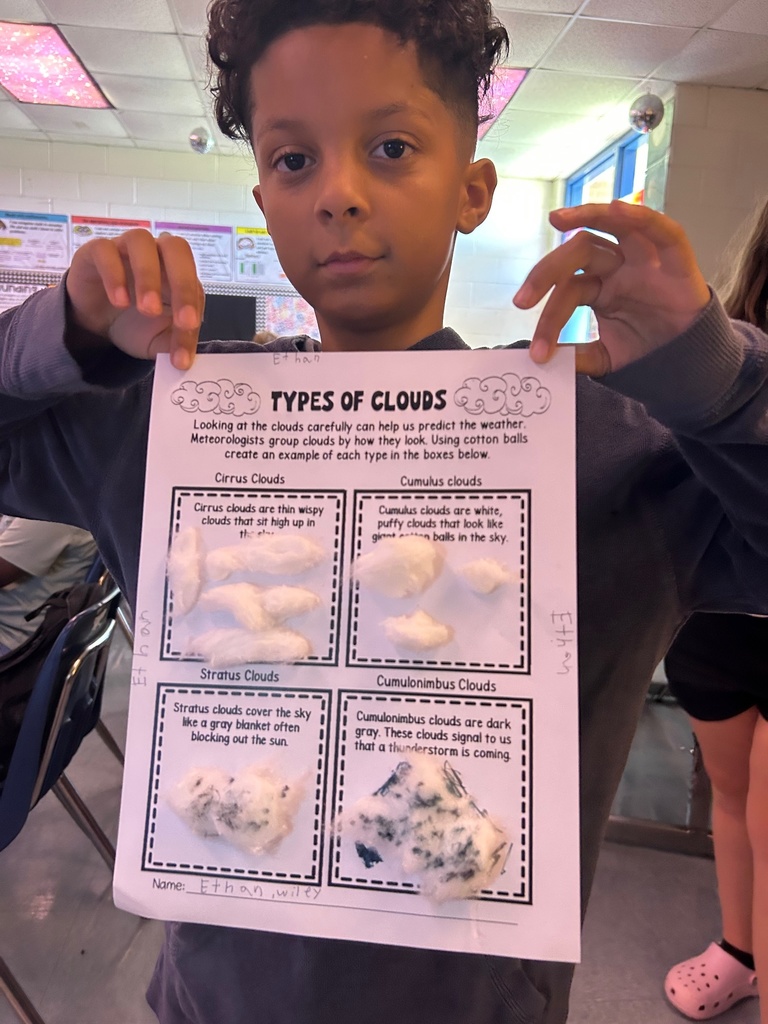 worksheet, cotton ball, student