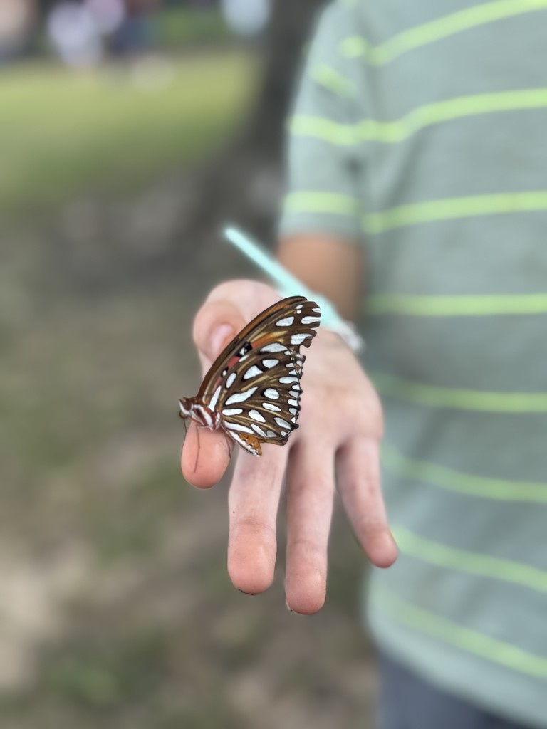 hand, butterfly, shirt with stripes