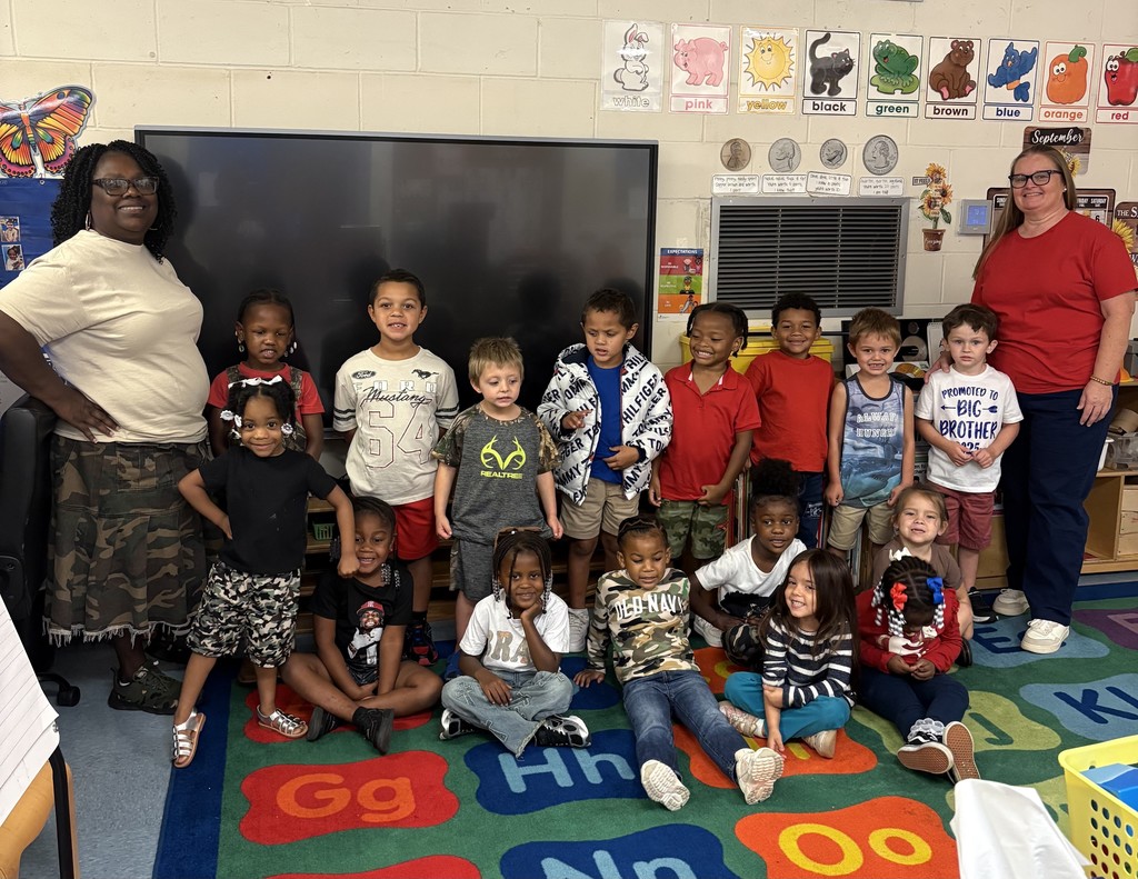 students, rug with colored shapes, Animal border, anchor charts