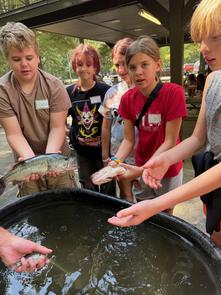 Learning about fish.