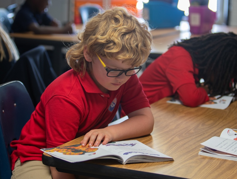 Student reading a book