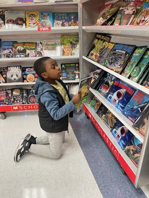 Student at non-fiction shelf