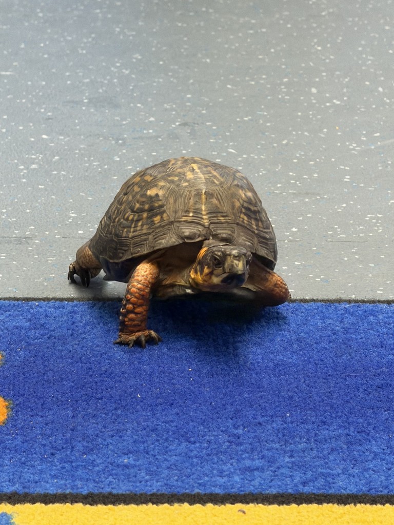 Hudson Highlands Visit