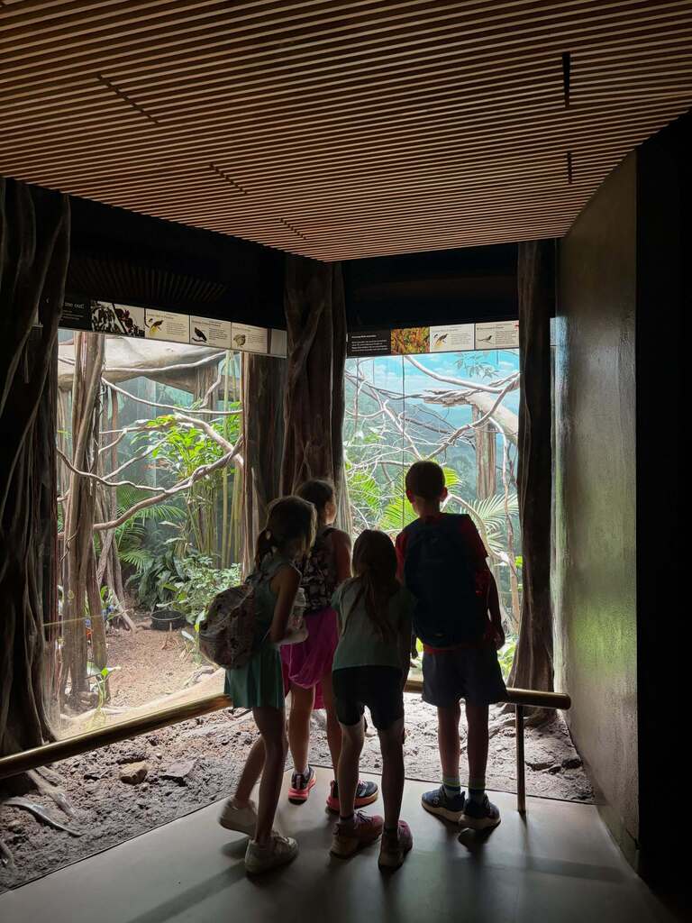 Bronx Zoo