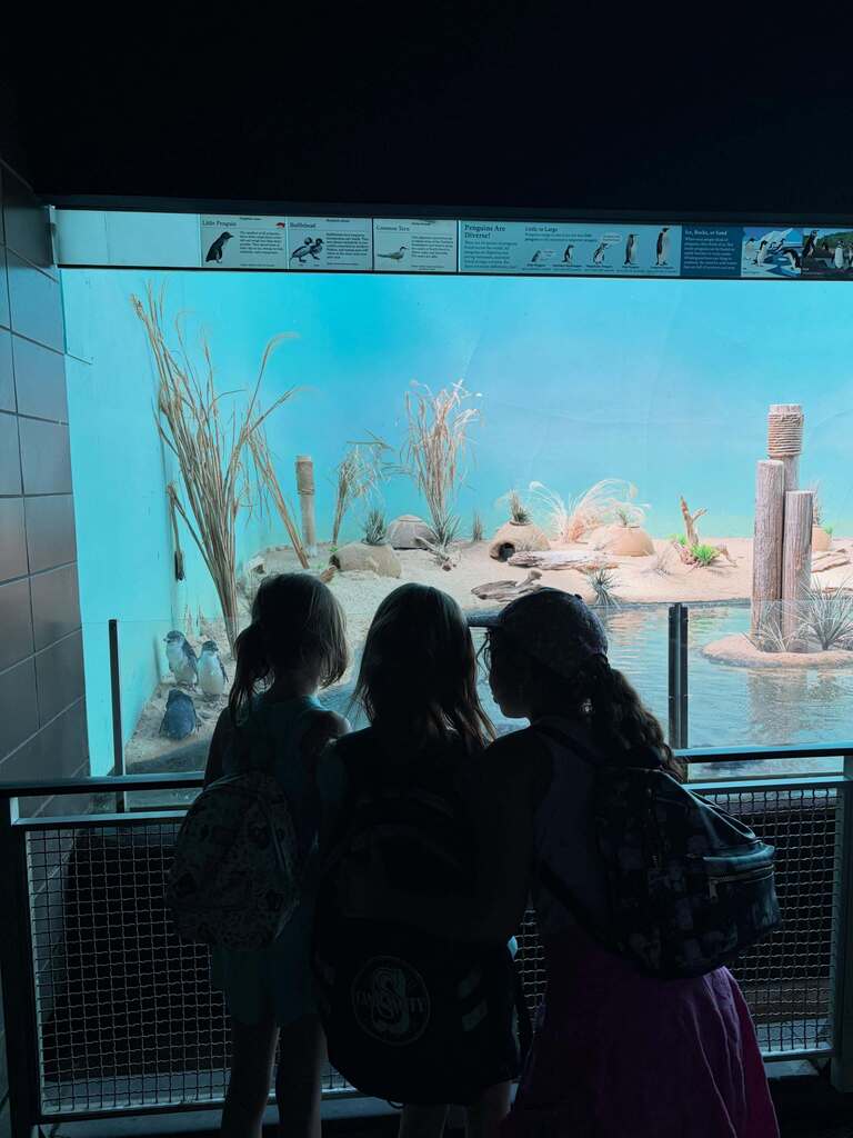 Bronx Zoo
