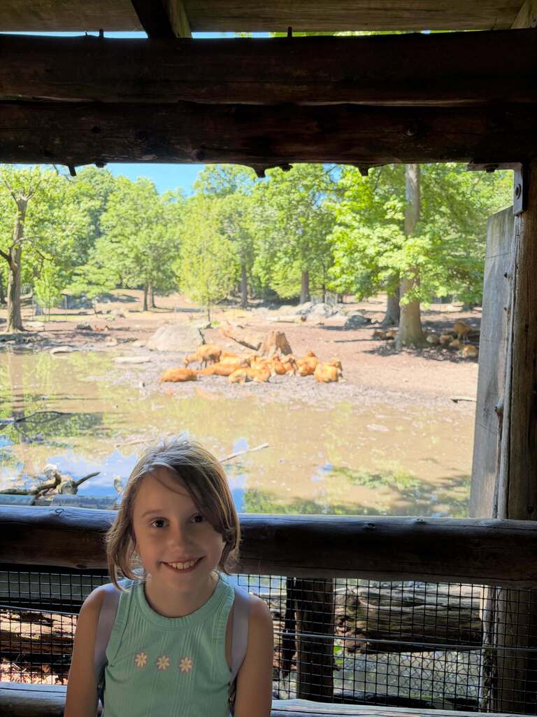 Bronx Zoo
