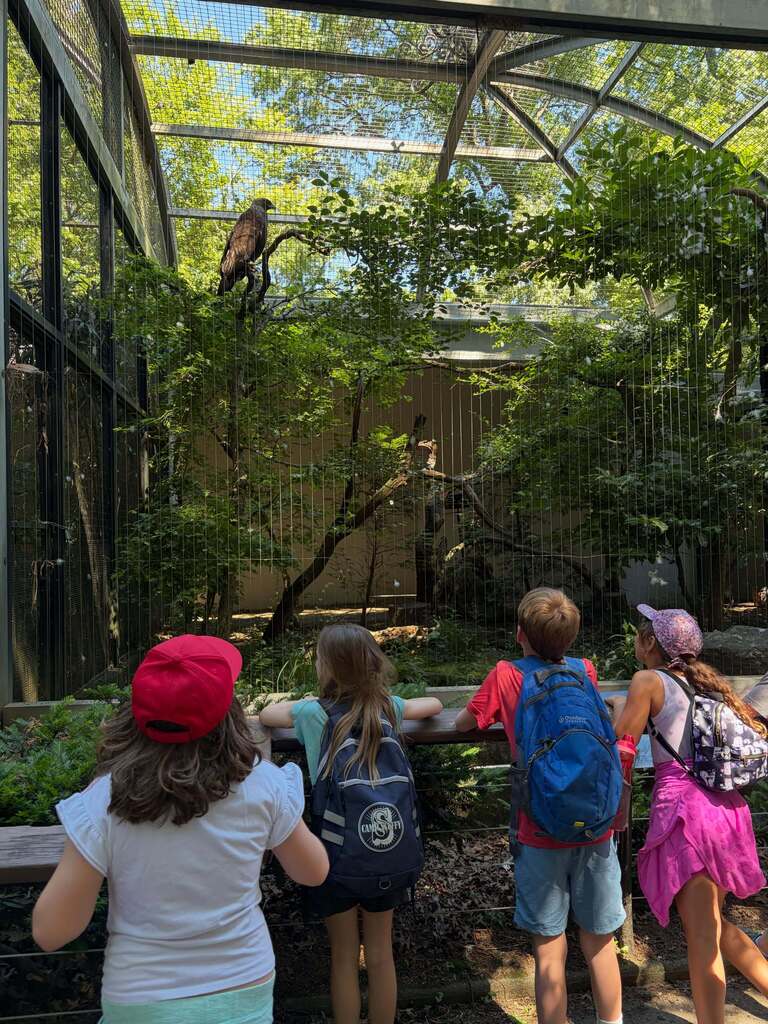 Bronx Zoo