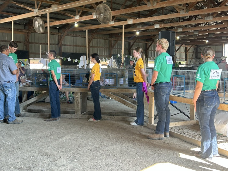 Sage and Avery during showmanship 