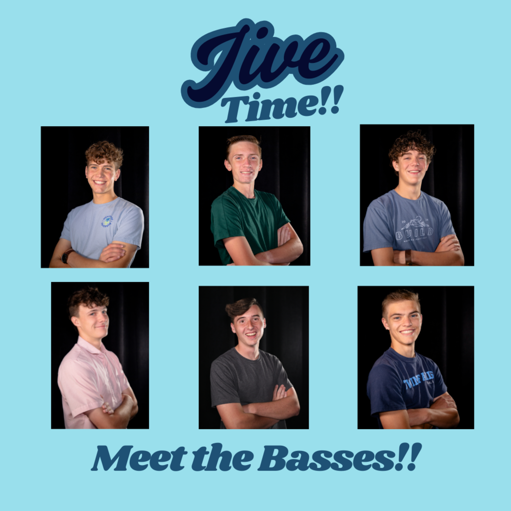 Jive Time!! Meet the Basses!!