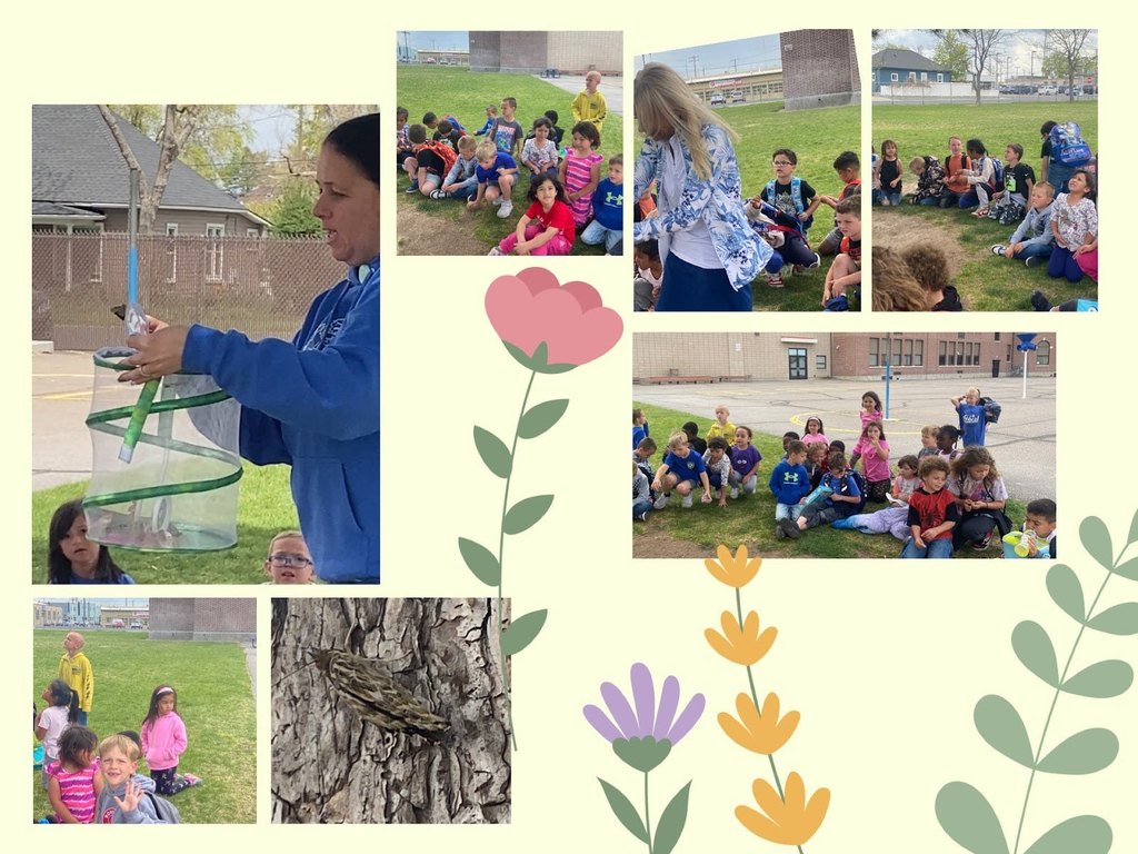 Mrs. Ruiz first grade class releasing butterflies at Bickel.