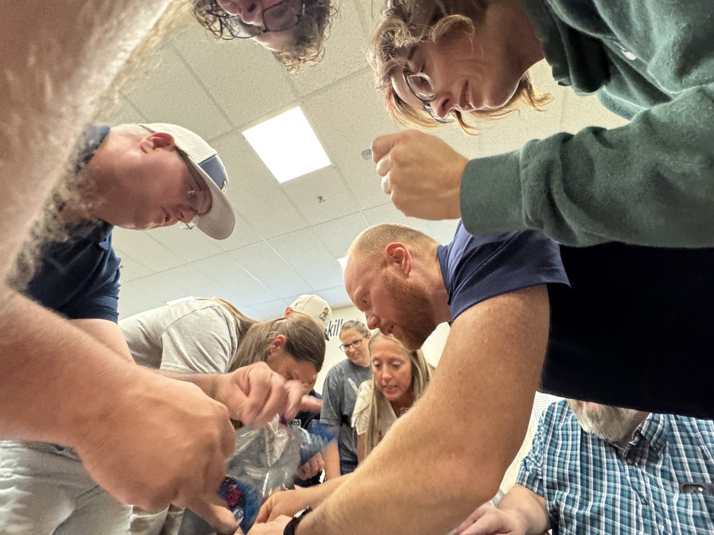 Staff Training