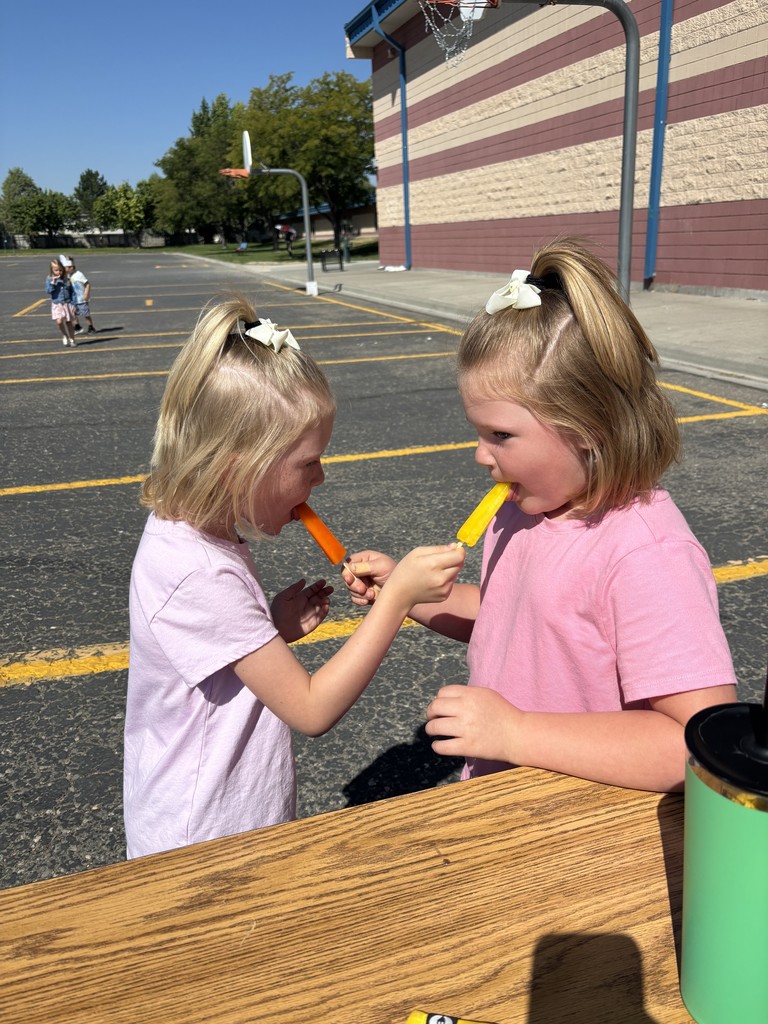 Popsicles with admin