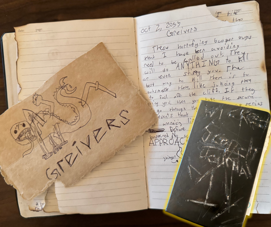 A book review that includes a diary entry, and two drawings.