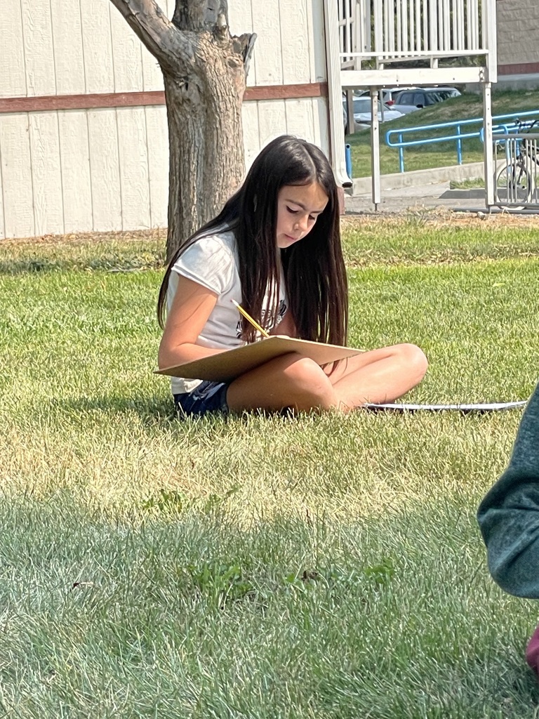 Working quietly outside