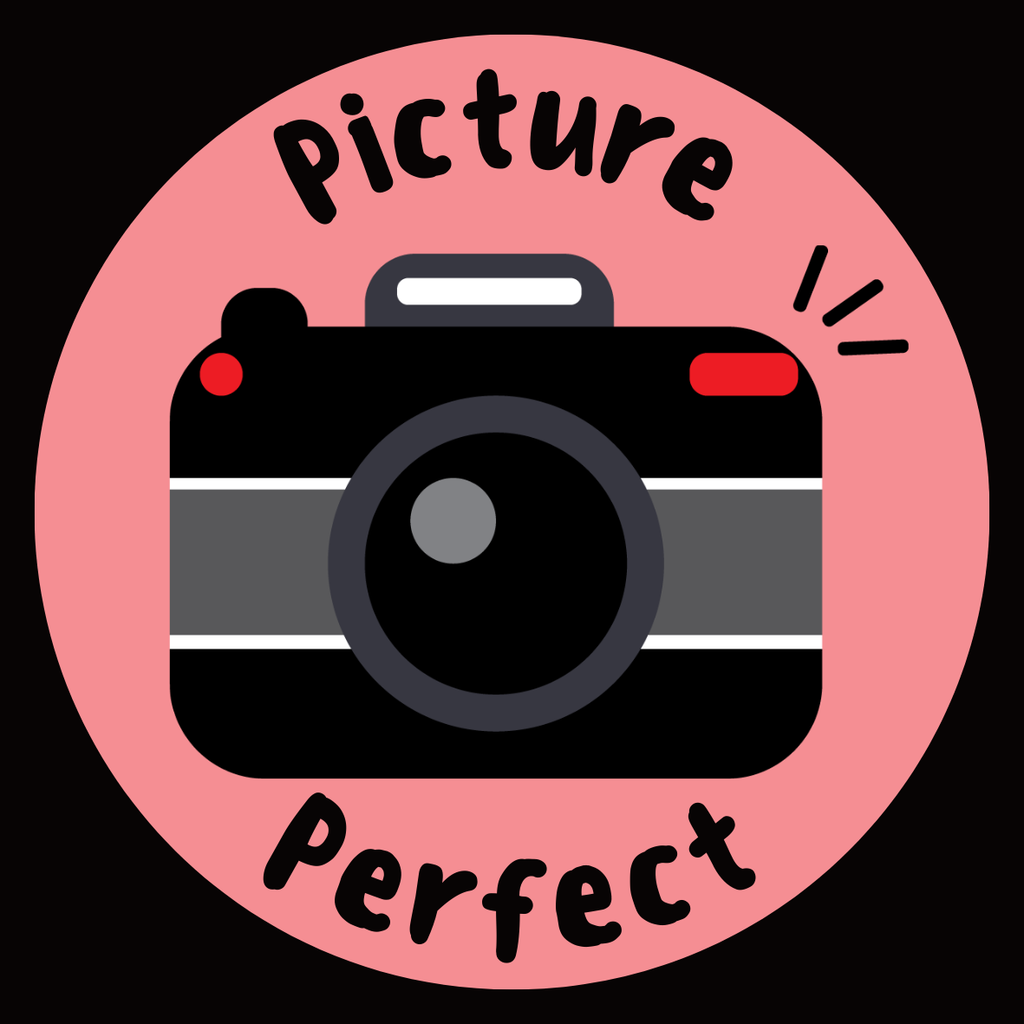camera and words picture perfect