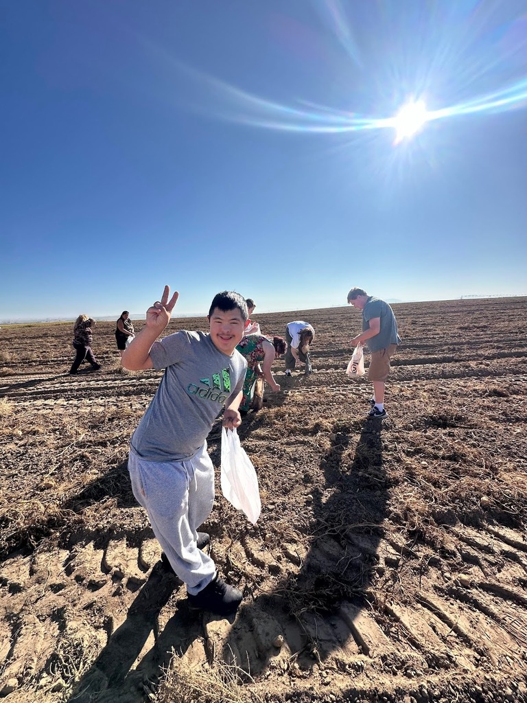 CRHS Nest Students picking bagging their own potatoes
