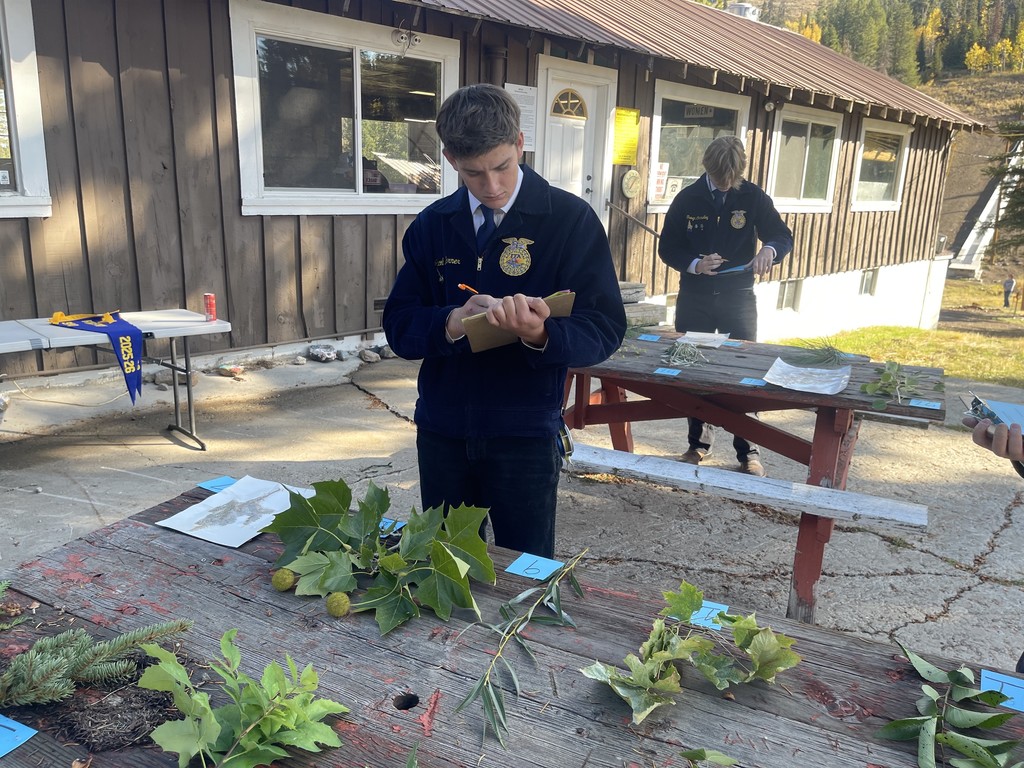 FFA Forestry in the South Hills