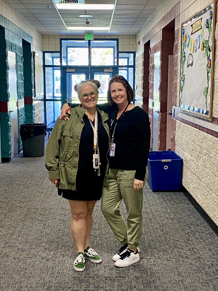 Teacher Twinning