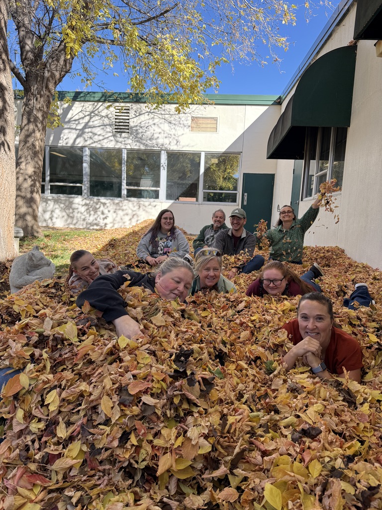 a picture of a group of staff members siting in a pile of leaves