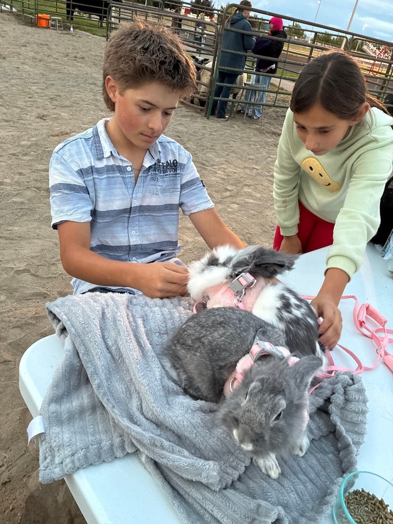Kids enjoying the Canyon Ridge FFA Petting zoo by petting some rabbits.