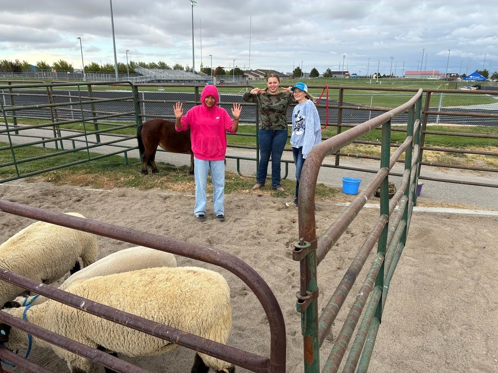 Canyon Ridge FFA Students with Sheep and a miniature horse for their homecoming petting zoo.