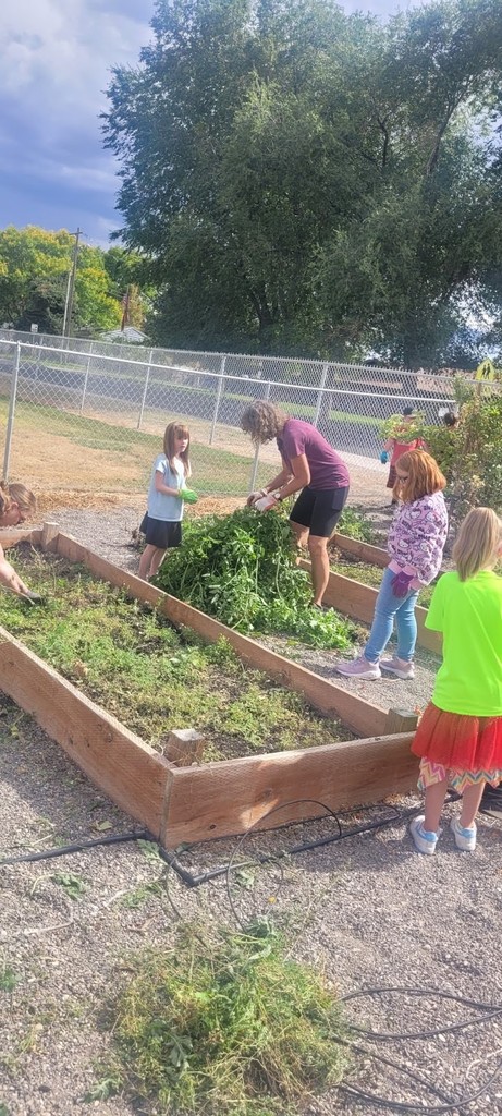 Harrison students working on garden clean-up at the end of the growing season.