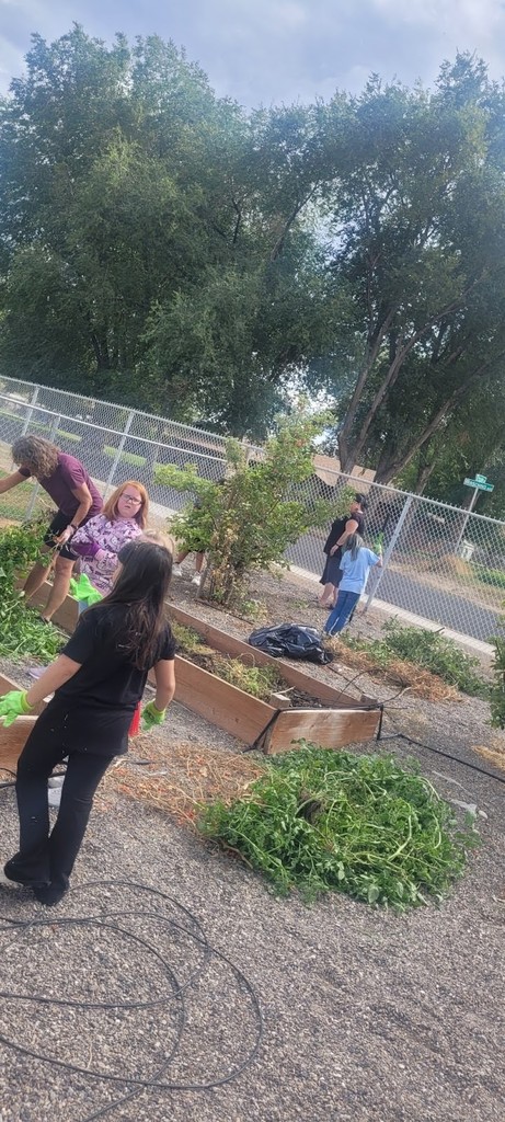 Harrison students working on garden clean-up at the end of the growing season.