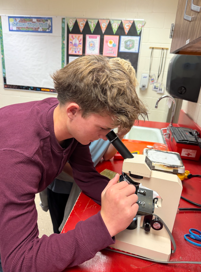 Student looking into microscope