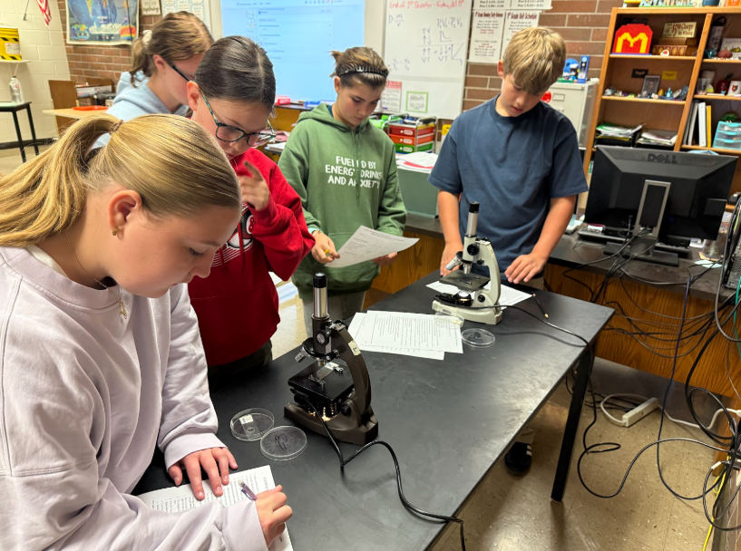 Students and microscopes