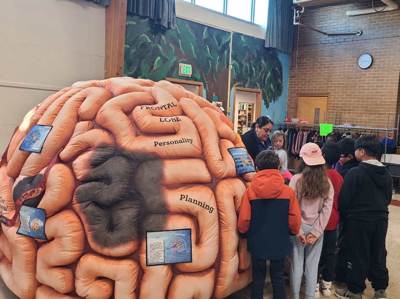 students look on as a health worker explains an inflatable brain display
