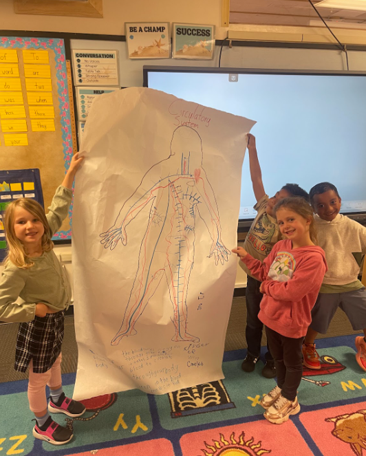 19Students work on body system displays.