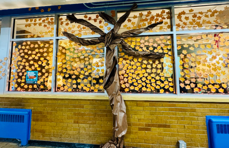 The gratitude tree at TFHS