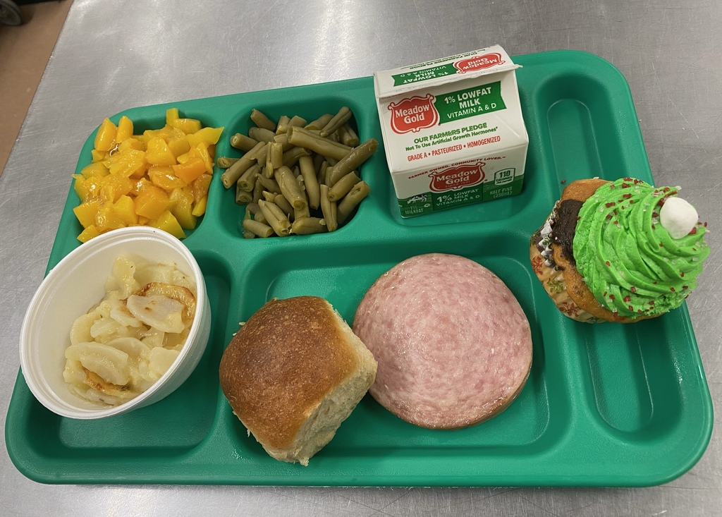 A green cafeteria tray with a roll and a slice of ham