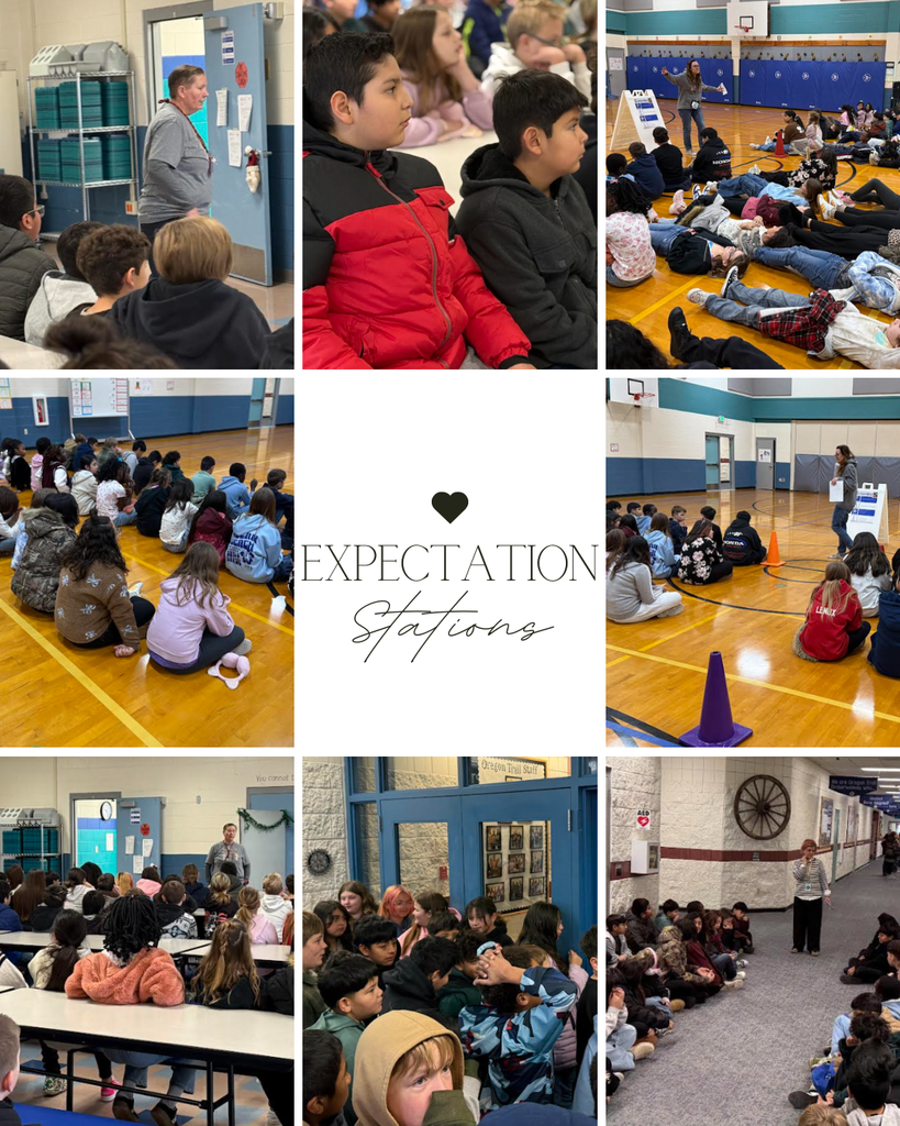 Expectation Station Rotations