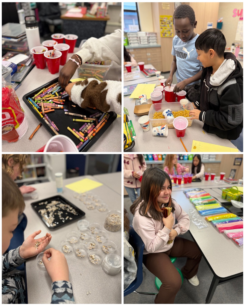 Collage of pictures - students smiling