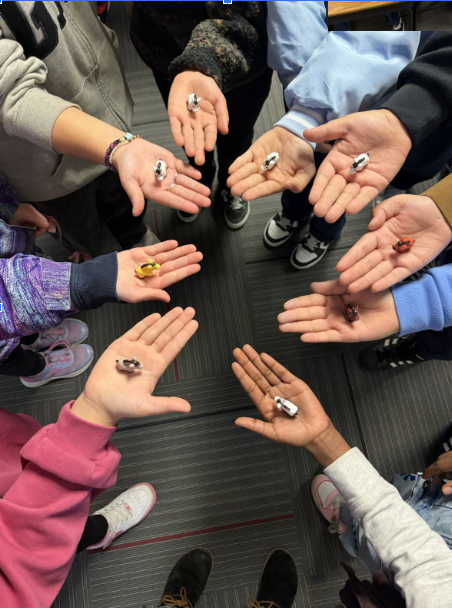 Student's holding out their hands in a circle, each showing a tiny horse figurine 