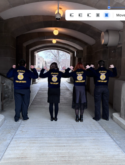 Four students with their backs to the camera showcasing their FFA jackets