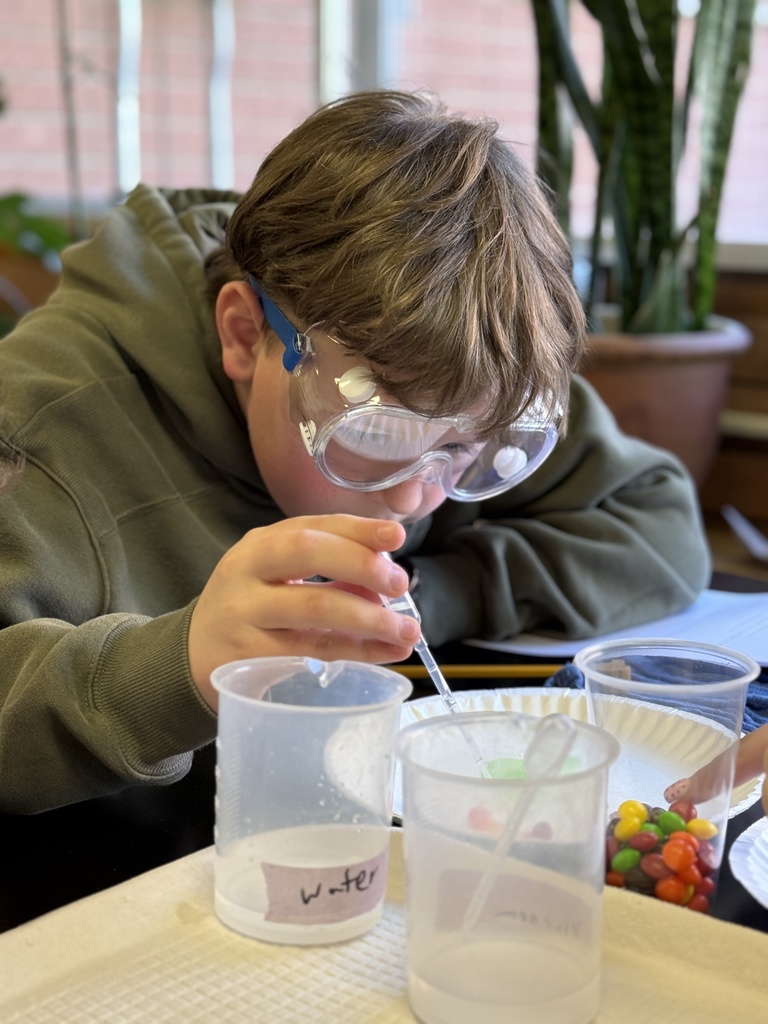 a student in science class wearing googles and performing an experiment with a dropper and Skittles.