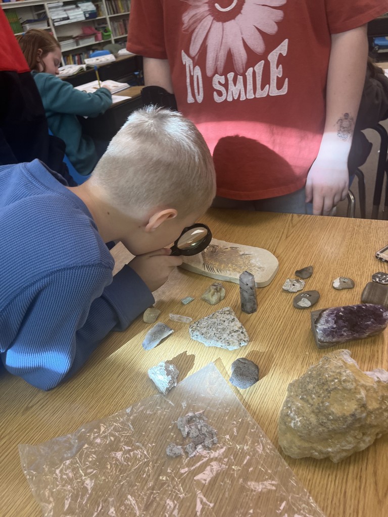 Using a magnifying glass to look at a leaf print, like a fossil