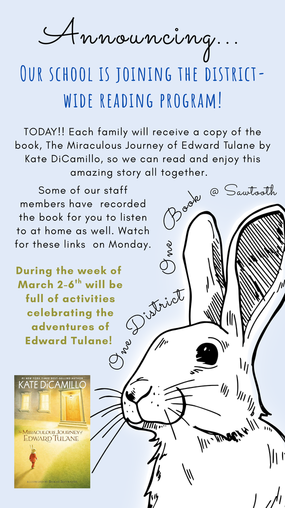 Flyer for the District Wide Reading Program