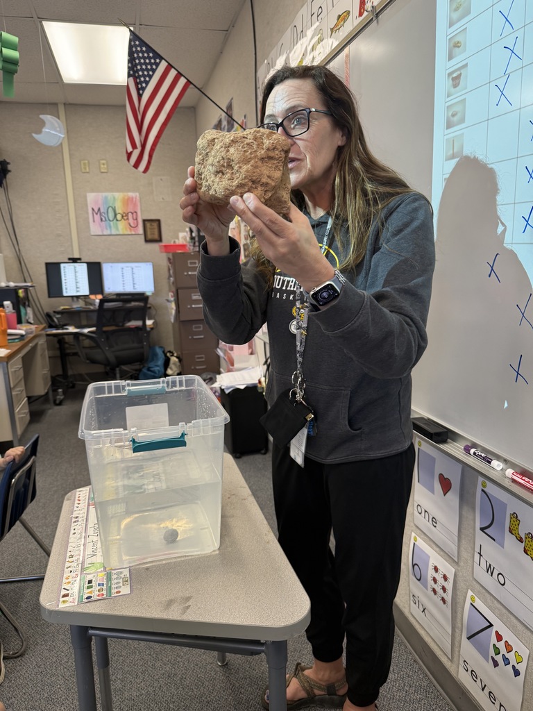 Sink or Float activity