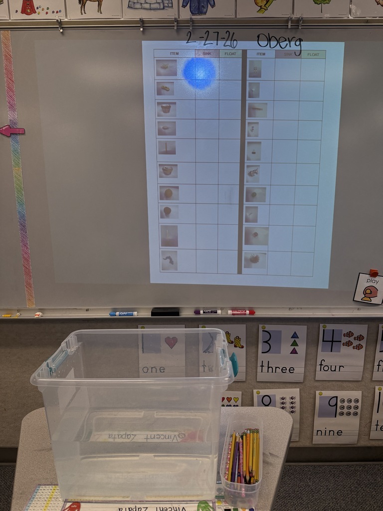 Sink or Float activity