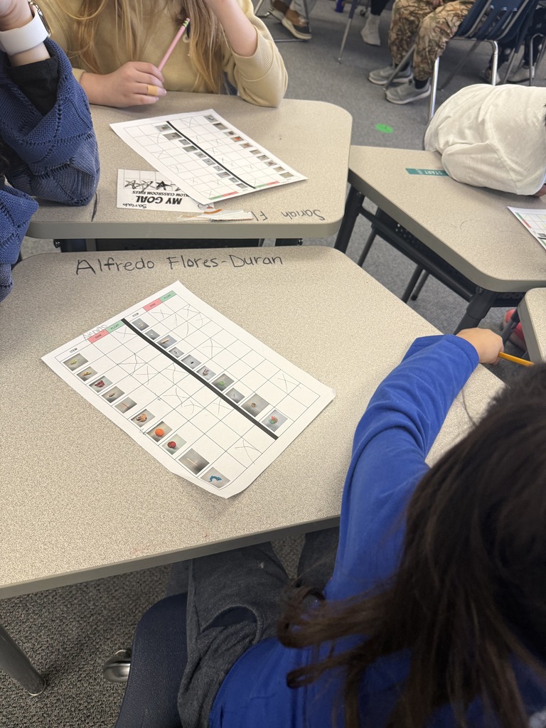 Sink or Float activity