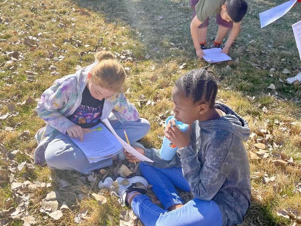 Students working together in the sunshine