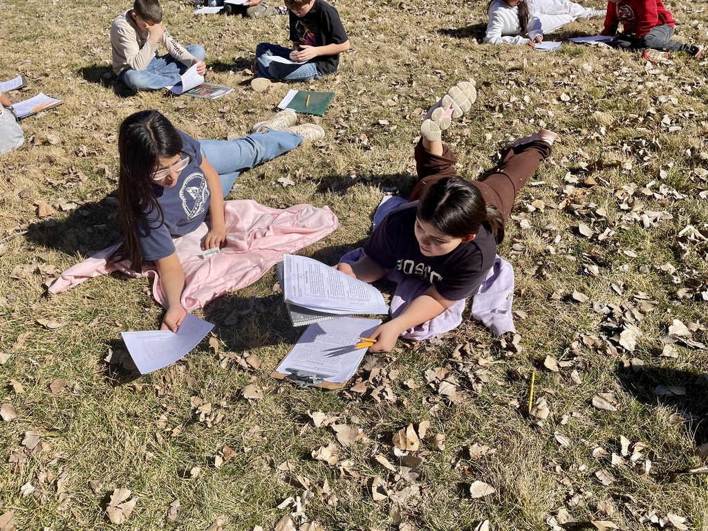 Students learning outside