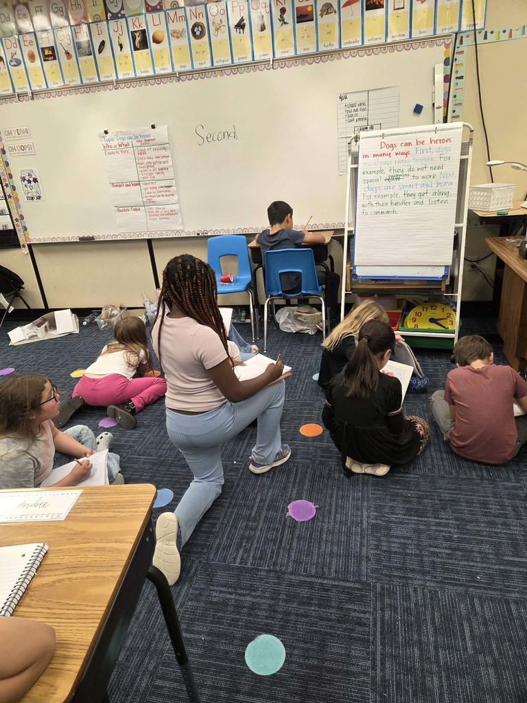 3rd graders use shared writing to write individual summaries.