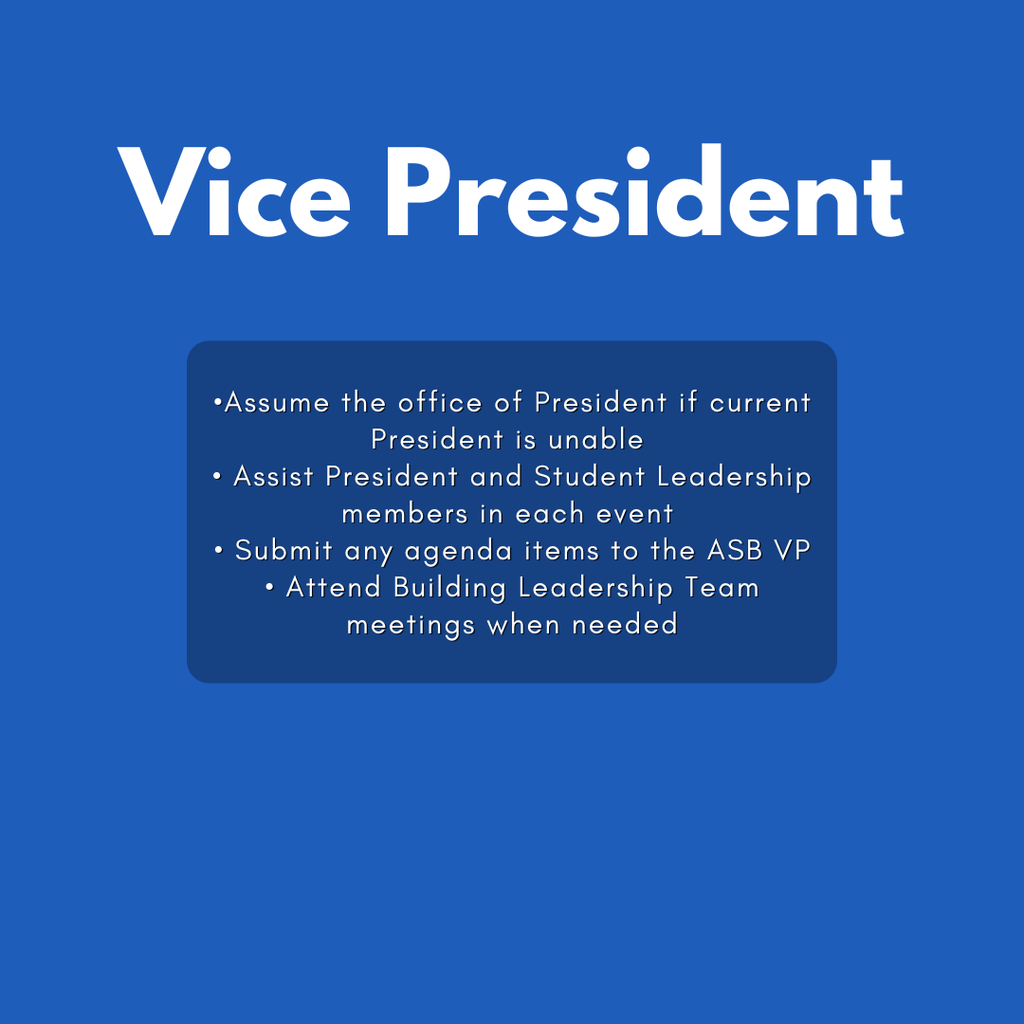Vice President