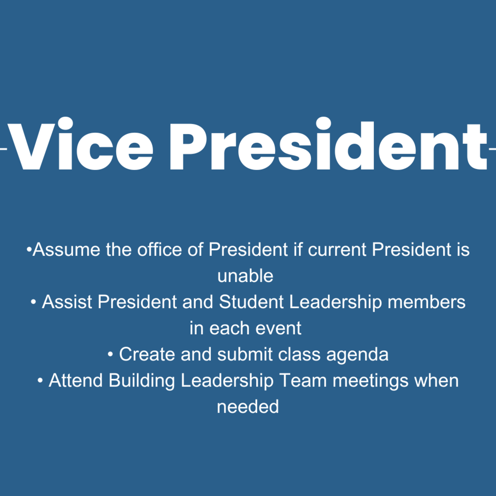 Vice President