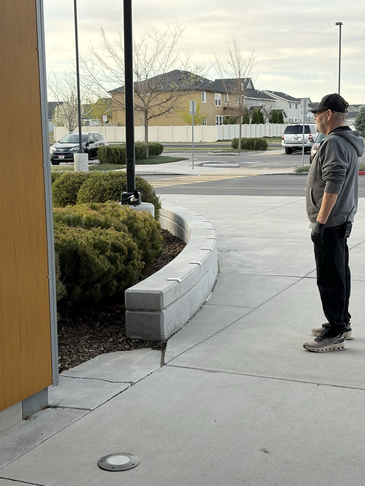 Man, looking at bird